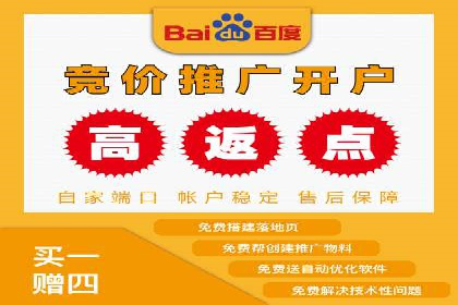 百度广告投放策略优化及成功案例解析